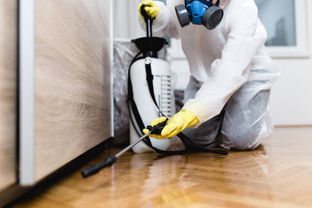 Best Exterminator Services  in Wilson, AR