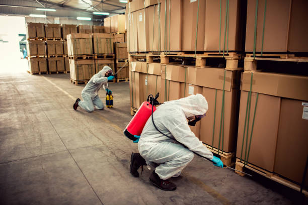 Best Local Pest Control Services  in Wilson, AR