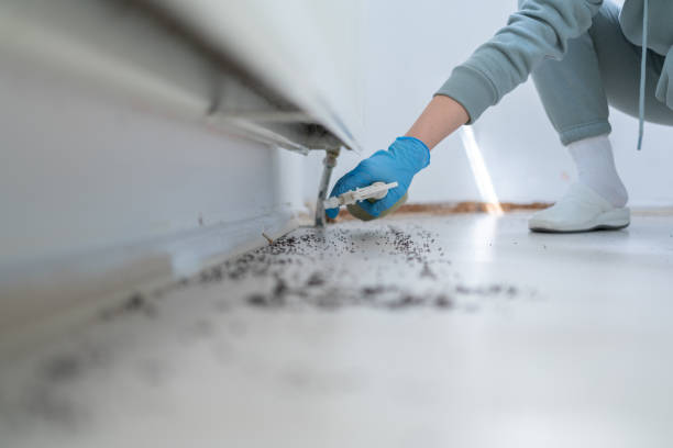 Best Wildlife Control Services  in Wilson, AR