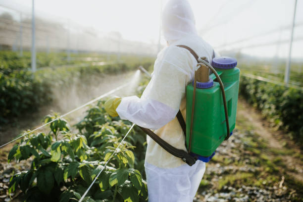 Best Pest Inspection Near Me  in Wilson, AR